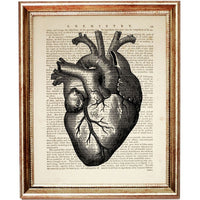 Set of 6 Anatomical Dictionary Art Prints, Anatomy in Art Poster