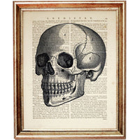 Set of 6 Anatomical Dictionary Art Prints, Anatomy in Art Poster