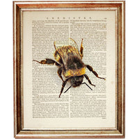 Set of 6 Bumblebee Dictionary Art Prints, Buzzing Beauties Wall Decor