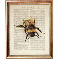 Set of 6 Bumble Bee Dictionary Art Prints, Buzzing Beauties Wall Decor