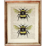 Set of 6 Bumble Bee Dictionary Art Prints, Buzzing Beauties Wall Decor