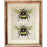 Set of 6 Bumblebee Dictionary Art Prints, Buzzing Beauties Wall Decor