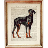 Vintage Doberman Dictionary Art Print - Unique Dog Lover Decor