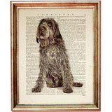 Wirehaired Pointing Griffon Dictionary Art Print, Dog Poster