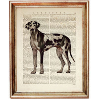 Stunning Great Dane Dictionary Art Print for Dog Lovers