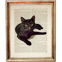 Black Cat Print - Unique Cat Gift and Art - Dictionary Art Print