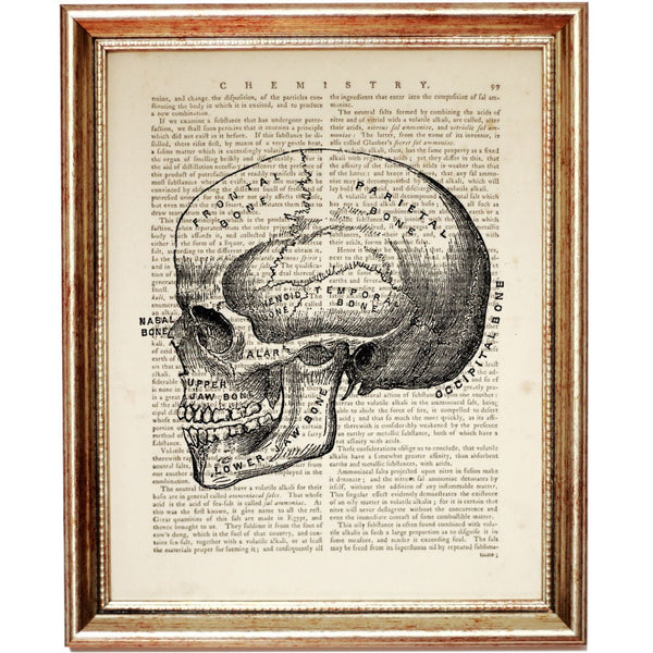 Skull Dictionary Art Print, Human Anatomy Wall Decor