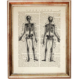 Skeleton Dictionary Art Prints, Get Your Bones Shaking