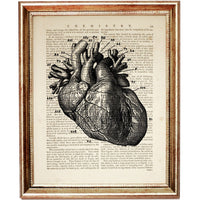 Anatomy Heart Print, Medical Wall Art, Human Anatomy Decor