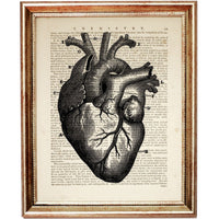 The Anatomy of the Human Heart Black and White Dictionary Art Print