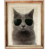 Cat Glasses Wall Art Set - 2 Funny Cat Nursery Prints - Animal Sunglasses Poster Decor