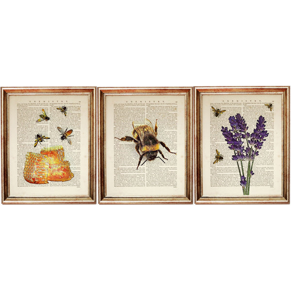 Botanical Bee Dictionary Art Prints Set of 3 - Honeycomb & Lavender Wall Decor Poster