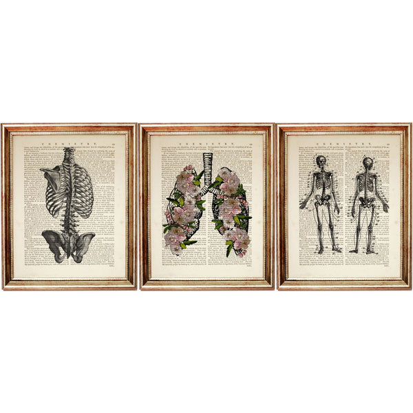 Anatomy Trio Dictionary Art Prints - Human Body Wall Art Set of 3 Skeleton, Rib Cage, Lungs