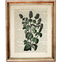 Set of 4 Flower Dictionary Art Prints, Blooming Beauty Wall Decor