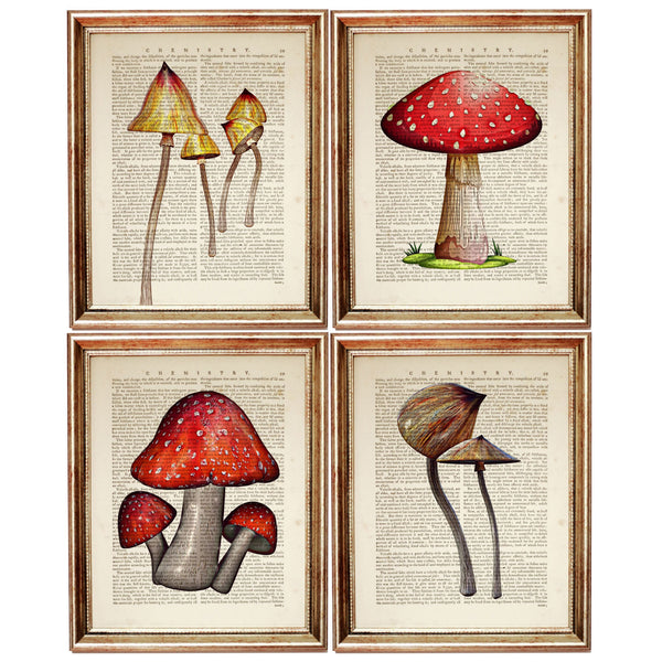 Set of 4 Mushroom Dictionary Art Prints, Mystical Fungi Wall Hanging