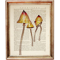 Set of 4 Mushroom Dictionary Art Prints, Mystical Fungi Wall Hanging