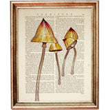 Set of 4 Mushroom Dictionary Art Prints, Mystical Fungi Wall Hanging