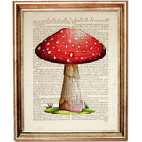 Set of 4 Mushroom Dictionary Art Prints, Mystical Fungi Wall Hanging