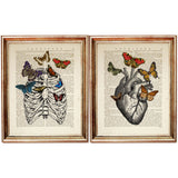 Anatomy Duo: Heart & Rib Cage Dictionary Art Prints - Set of 2 Medical Poster