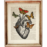 Anatomy Duo: Heart & Rib Cage Dictionary Art Prints - Set of 2 Medical Poster