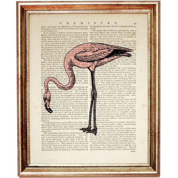 Flamingo Wall Art Print, Large Bird Dictionary Art Poster