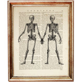 Set of 4 Skeleton Dictionary Art Prints, Gothic Elegance Wall Hanging