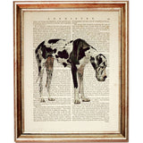 Great Dane Dog Dictionary Art Prints Set of 4 Dog Book Page Art Nursery Decor