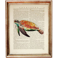 Set of 4 Sea Turtle Dictionary Art Prints, Oceanic Splendor Poster