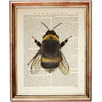 Set of 6 Bumblebee Dictionary Art Prints, Buzzing Beauties Wall Decor