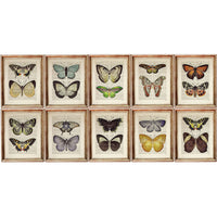 Butterfly Dictionary Art Prints, Set of 10 for Nursery Wall Decor