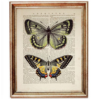 Butterfly Dictionary Art Prints, Set of 10 for Nursery Wall Decor