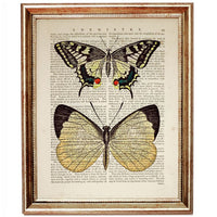 Butterfly Dictionary Art Prints, Set of 10 for Nursery Wall Decor