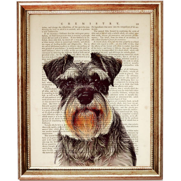 Miniature Schnauzer Dog Print on Dictionary Page Nursery Wall Art Dictionary Art Print