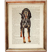 Unleash Your Love for Black and Tan Coonhound Dog Dictionary Art Print