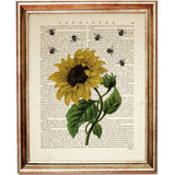 Sunflower with Bees Dictionary Art Print, Nature's Beauty Wall Decor