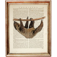 Sloth Dictionary Art Print, Animal Lover Home Wall Decor