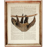 Sloth Dictionary Art Print, Animal Lover Home Wall Decor