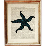 Set of 4 Starfish Dictionary Art Prints, Seaside Serenity Poster