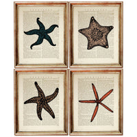 Set of 4 Starfish Dictionary Art Prints, Seaside Serenity Poster