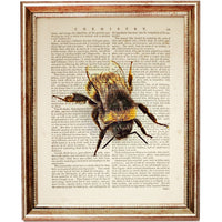 Sunflower Lavender Bumblebee Botanical Dictionary Art Prints Set - Wall Art Decor