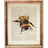 Sunflower Lavender Bumblebee Botanical Dictionary Art Prints Set - Wall Art Decor