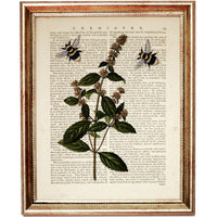Set of 4 Prints, Flowers with Bees Dictionary Art Print, Floral Artwork