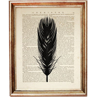 Set of 6 Feather Dictionary Art Print, Feather Poster