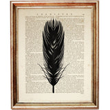 Set of 6 Feather Dictionary Art Print, Feather Poster