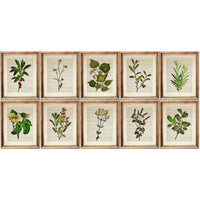 Botanical Herb Greenery Prints Set of 10, Nature Dictionary Art Home Decor