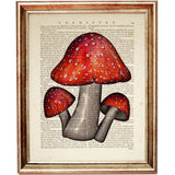 Set of 4 Mushroom Dictionary Art Prints, Mystical Fungi Wall Hanging