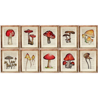 Mushroom Set of 10 Prints, Botanical Mushroom Poster Art, Wall Decor