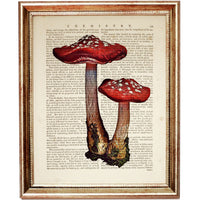 Mushroom Set of 10 Prints, Botanical Mushroom Poster Art, Wall Decor