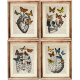 Set of 4 Enchanting Anatomy with Butterfly Dictionary Art Prints