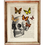 Set of 4 Enchanting Anatomy with Butterfly Dictionary Art Prints